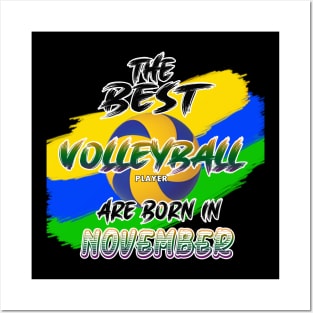 The Best Volleyball Player are Born in November Posters and Art